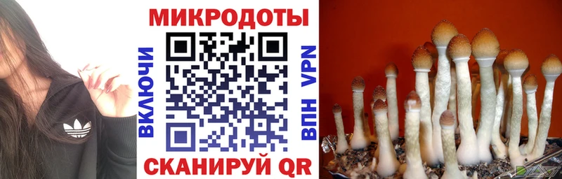 Галлюциногенные грибы Psilocybine cubensis  Купить закладки  Краснослободск 